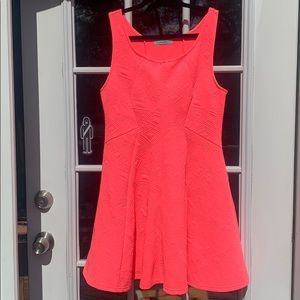 Katie Neon Pink Skater Dress Large